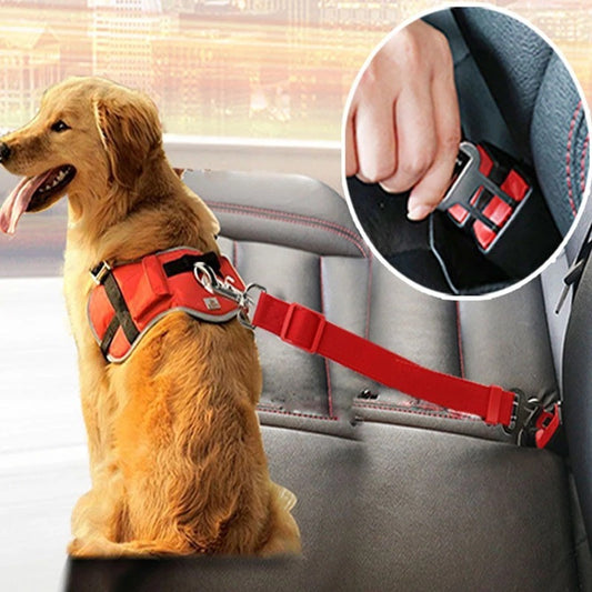 Verstellbarer Sicherheitsgurt für Hunde – Für sicheres Reisen im Auto